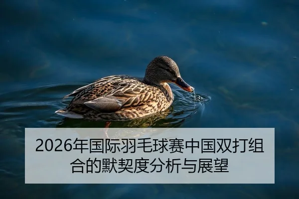 2026年国际羽毛球赛中国双打组合的默契度分析与展望