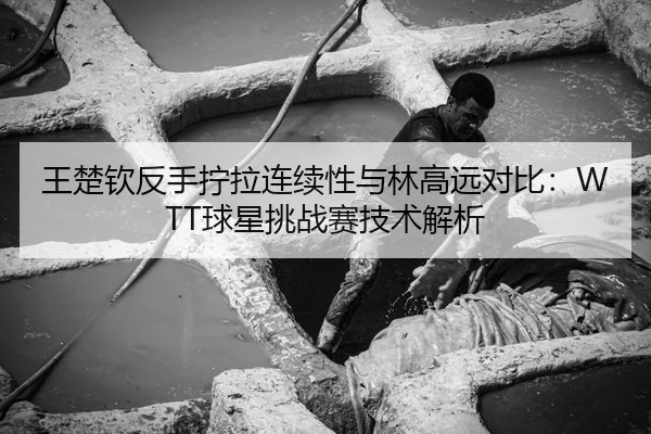 王楚钦反手拧拉连续性与林高远对比：WTT球星挑战赛技术解析